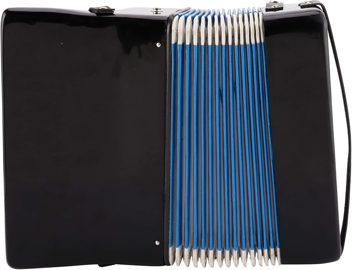 Eujgoov Accordion Musical Piano Keyboard Rhythm Training Spring Instrument 17 Key 8 Bass Black