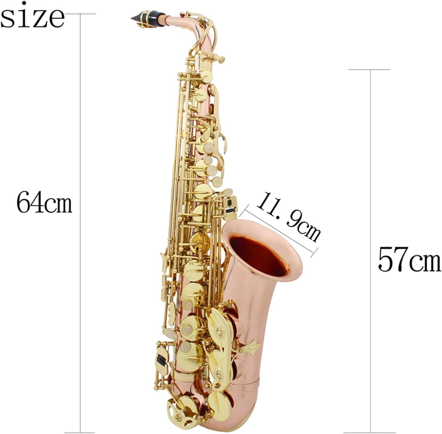 TSTS Dual-Color EB Alto Saxophone Woodwind Instrument Brass Sax Full Kit