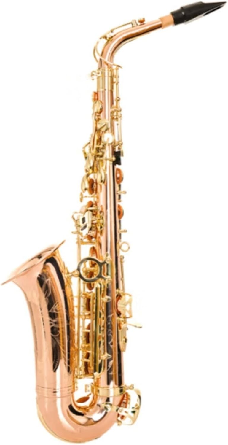 Professional Saxophone E Flat Alto Saxophone A Professional Woodwind Instrument