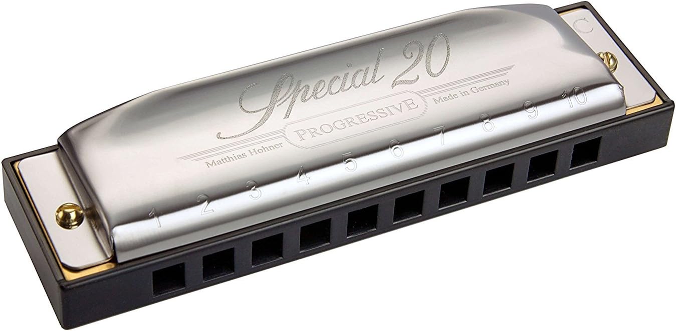 Hohner Special 20 Harmonica, 10 Holes Key E Bundle Hard Case, Mini Harmonica Necklace Juliet Music Polishing Cloth