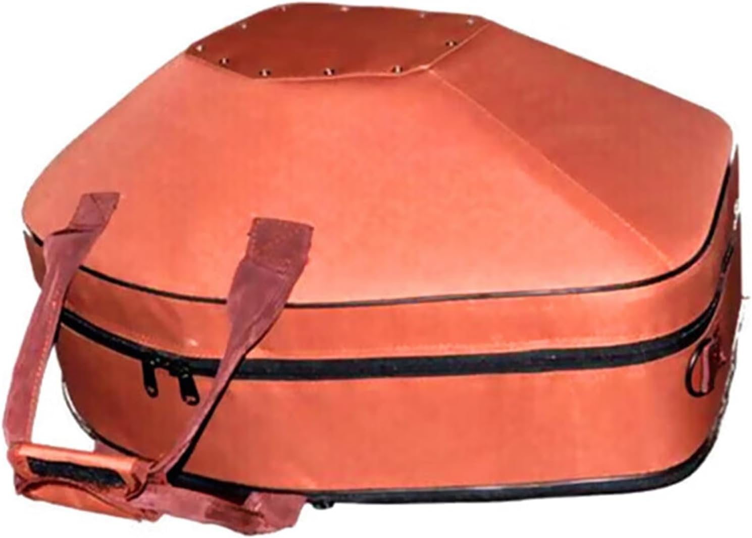 Professional French Horn B flat double row instrument