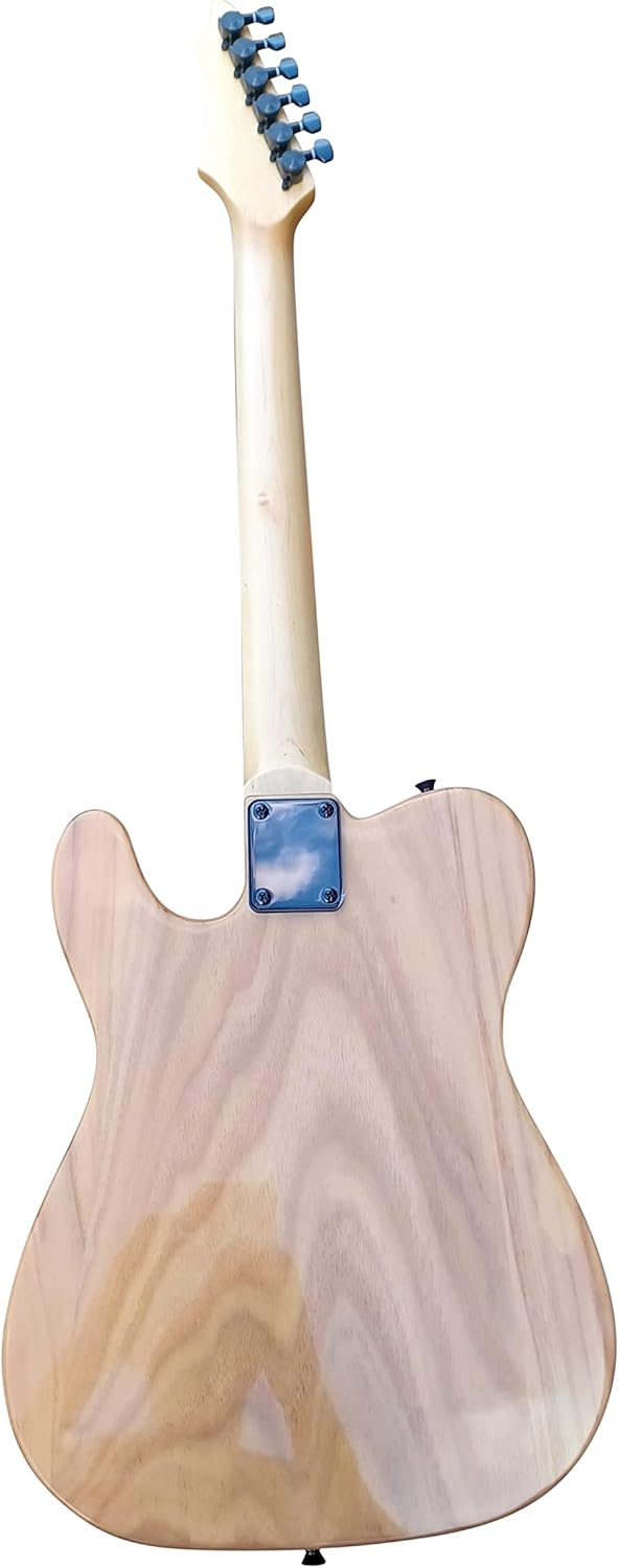 Electric Guitar with Bag And Accessories