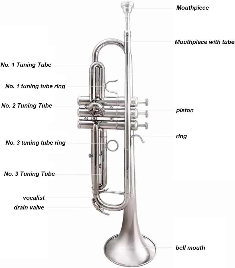 Lacquer Gold B-Flat Trumpet, Brass Beginner Wind Instruments for Adults, Western Instruments, Festival Band Celebration Instruments