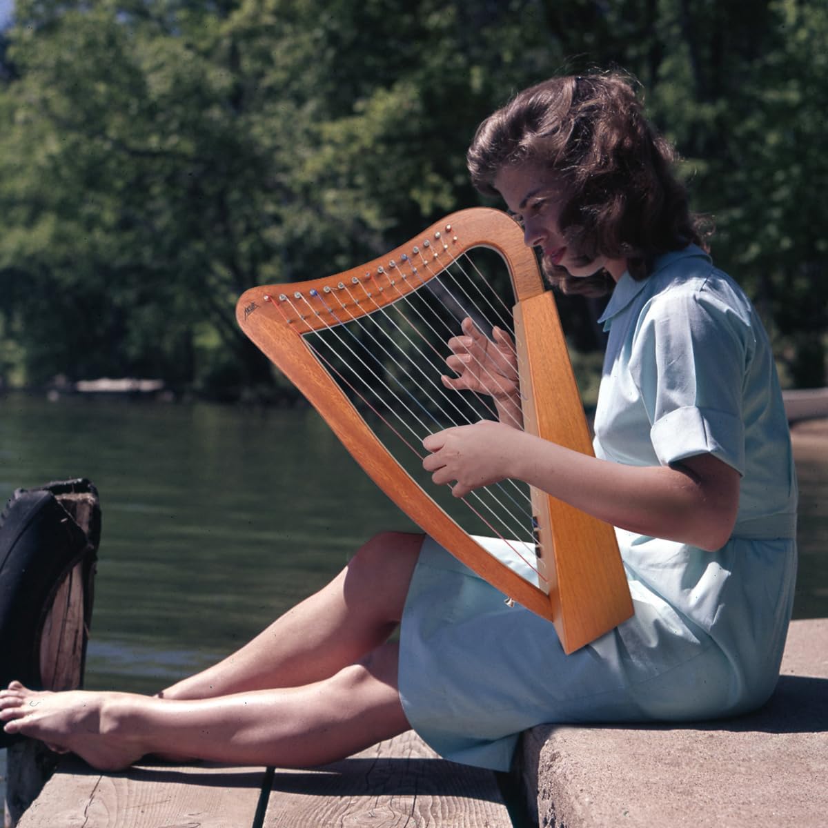 Harp, AKLOT 15 Strings Mahogany Lyer Harp 22 inch Height with Electric Box, Tuning Wrench, Black Bag and Strap,Lyer Kit Gift for Adult Professional Beginner