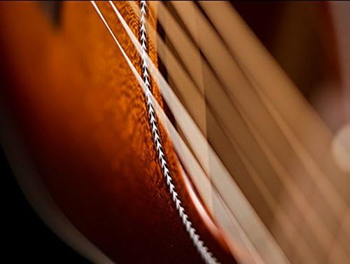 SEAGULL Performer CW CH Burnt Umber Presys II with Bag