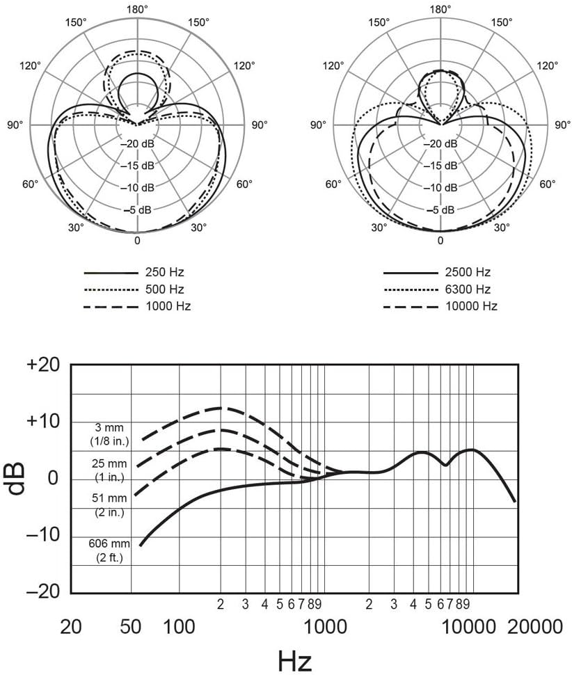 Shure Beta 58A Supercardioid Vocal Microphone & Pig Hog Black & White Woven Mic Cable, 20ft XLR - Bundle