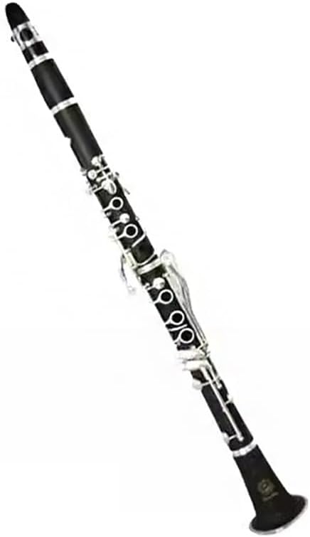 B Flat Clarinet Instrument, Clarinet Instrument, Beginners Examination Instrument, Band Treble Playing Instrument