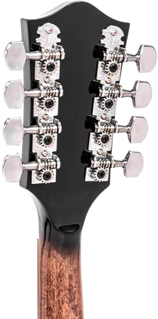 Gold Tone Banjo Mandolin