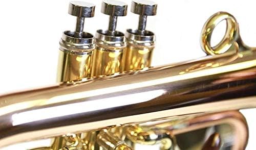 Phaeton Flugelhorn PHTF-2500