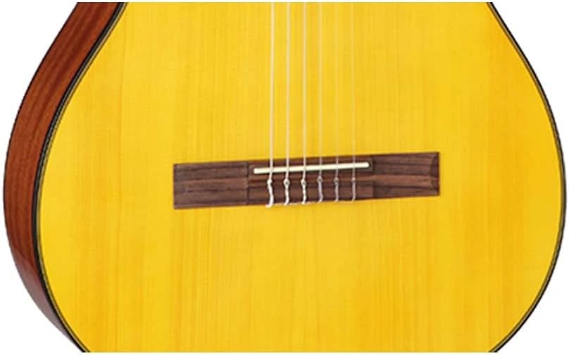 Takamine G Series GC3CE-NAT Acoustic-Electric Classical Cutaway Guitar, Natural