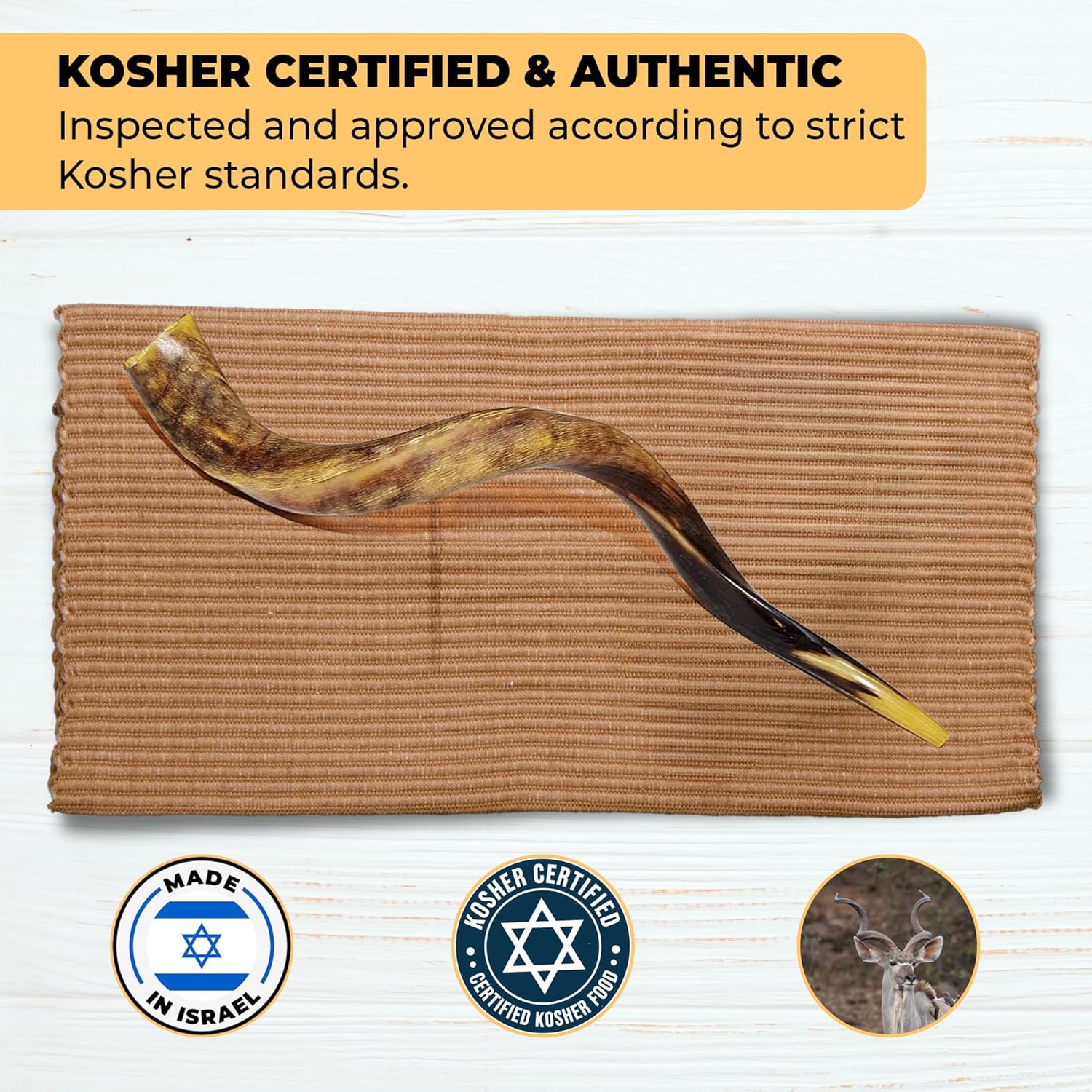 Kudu Shofar | Kosher Horn from Israel | Size 27-31 Inch