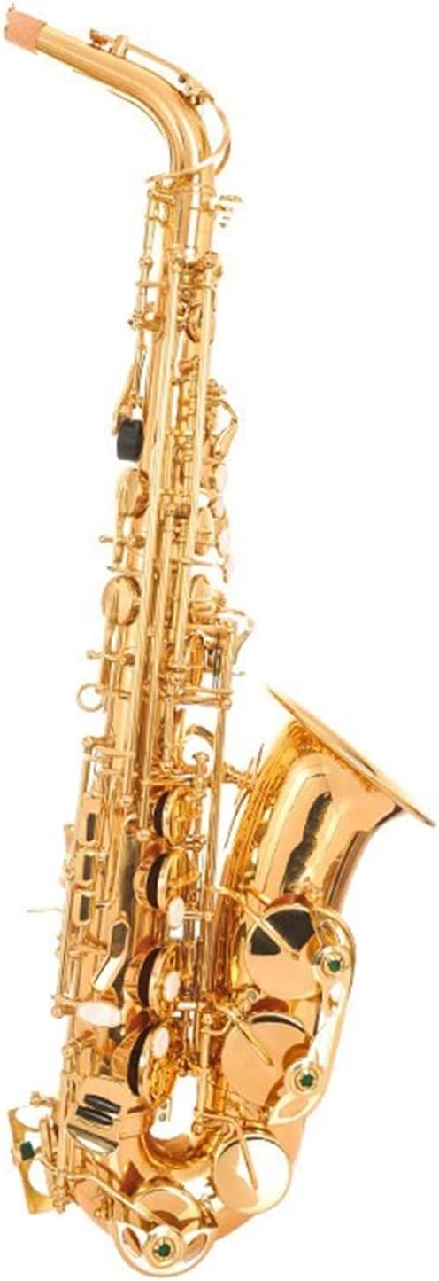 KESHUO E Flat Alto Saxophone Wind Instrument Brass Sax Beginners Kit