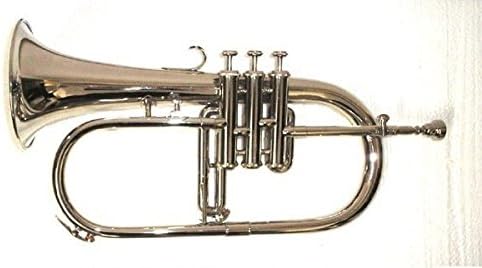 Tristar Bb Flugelhorn + Case + Care Kit