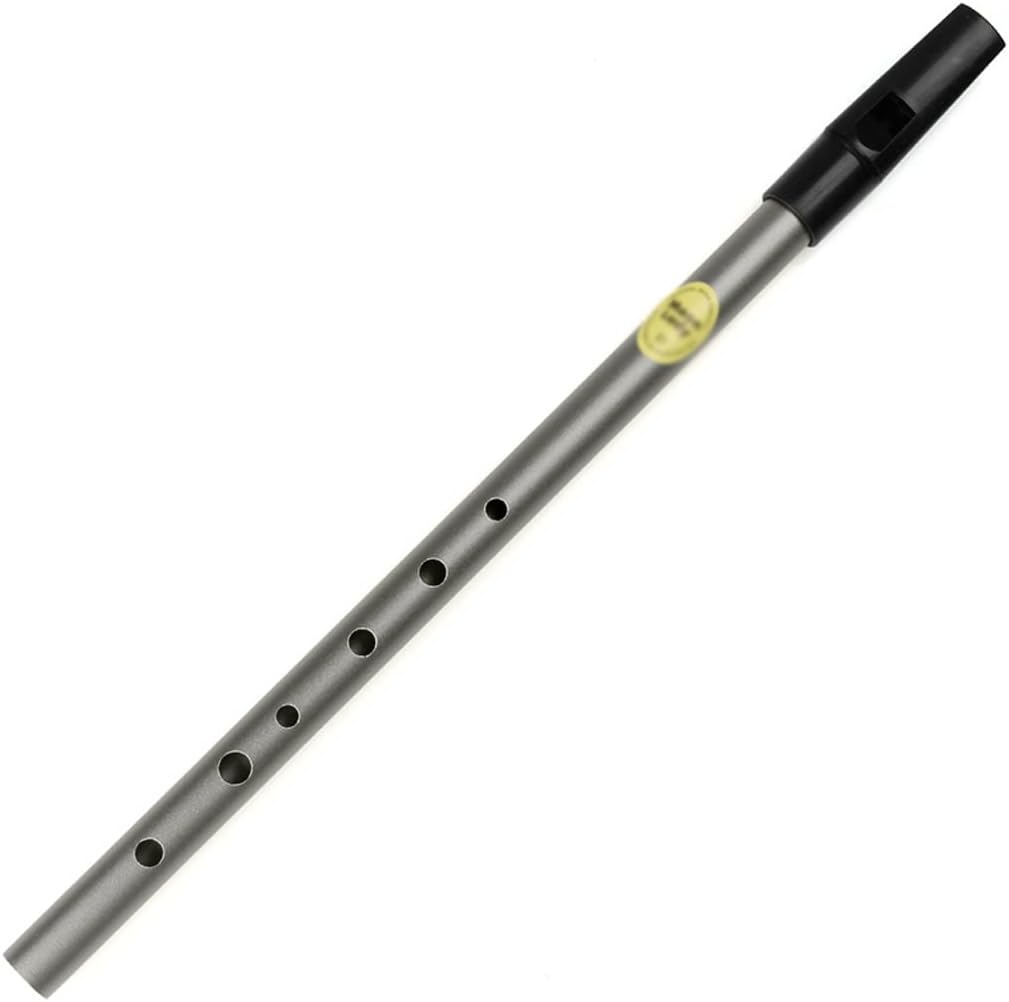 Wind Closed Hole D Key Silver Flute Instrument Whistle Woodwind