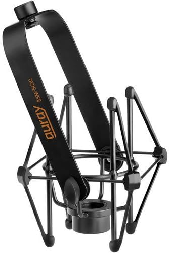Heil PR781 Orginal Performance Studio Microphone with Suspension Shockmount and Two-Section Broadcast Arm
