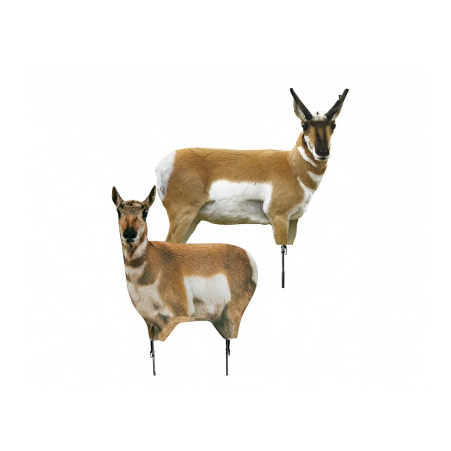 Montana Decoy Antelope Combo - Realistic Buck and Doe Set