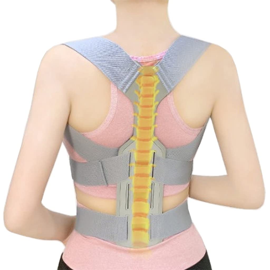 Shoulder Clavicle Chest Back Brace Straightener Posture Corrector Scoliosis Support Lumbar Waist Pull Belt(L code)
