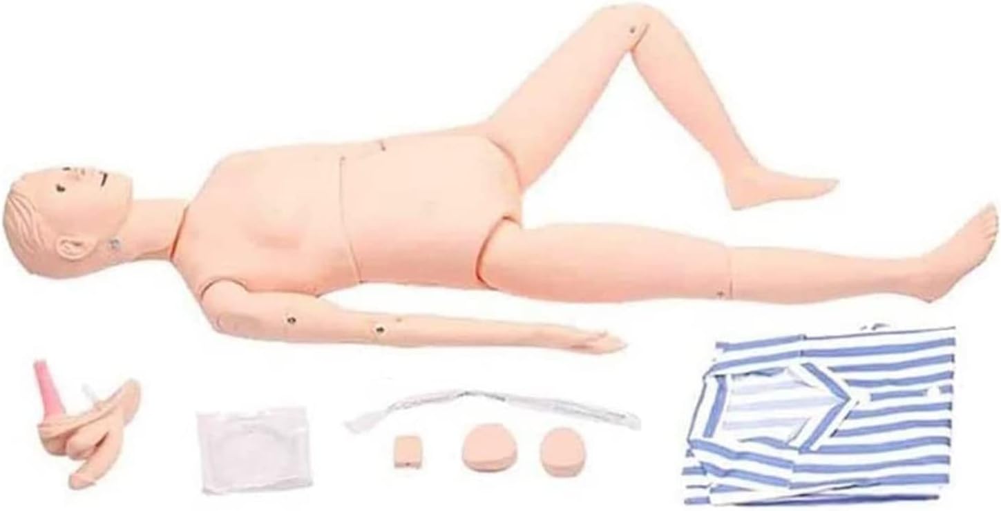 Demonstration Patient N Simulator Male and Female Human Anatomy Model N Manikin for N Medical Training Research Display