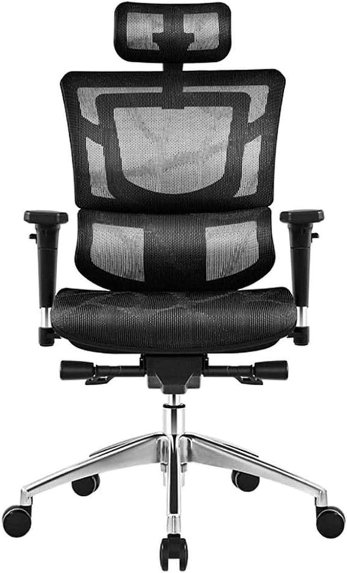 Commercial Ergonomic High Back Executive Mesh Chair, with Adjustable Lumbar Support, Headrest and 3D Armrests Configure Chassis Functions (Black One Size)