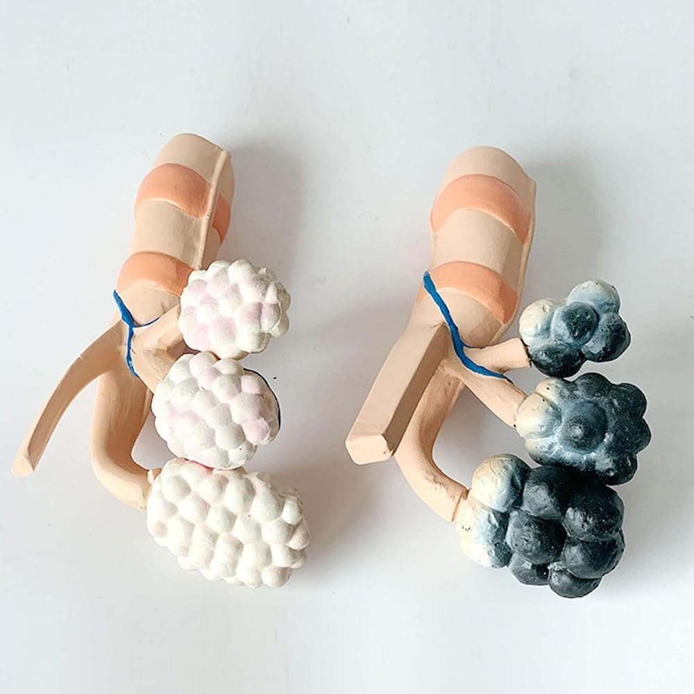 Human Alveolar Anatomical Model, Smoking Alveoli and Healthy Alveoli Comparison Model, Enlarged Alveolar Structure Model, with English Back Card, for Health Teaching