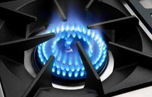 Capital Connoisseurian Series 48