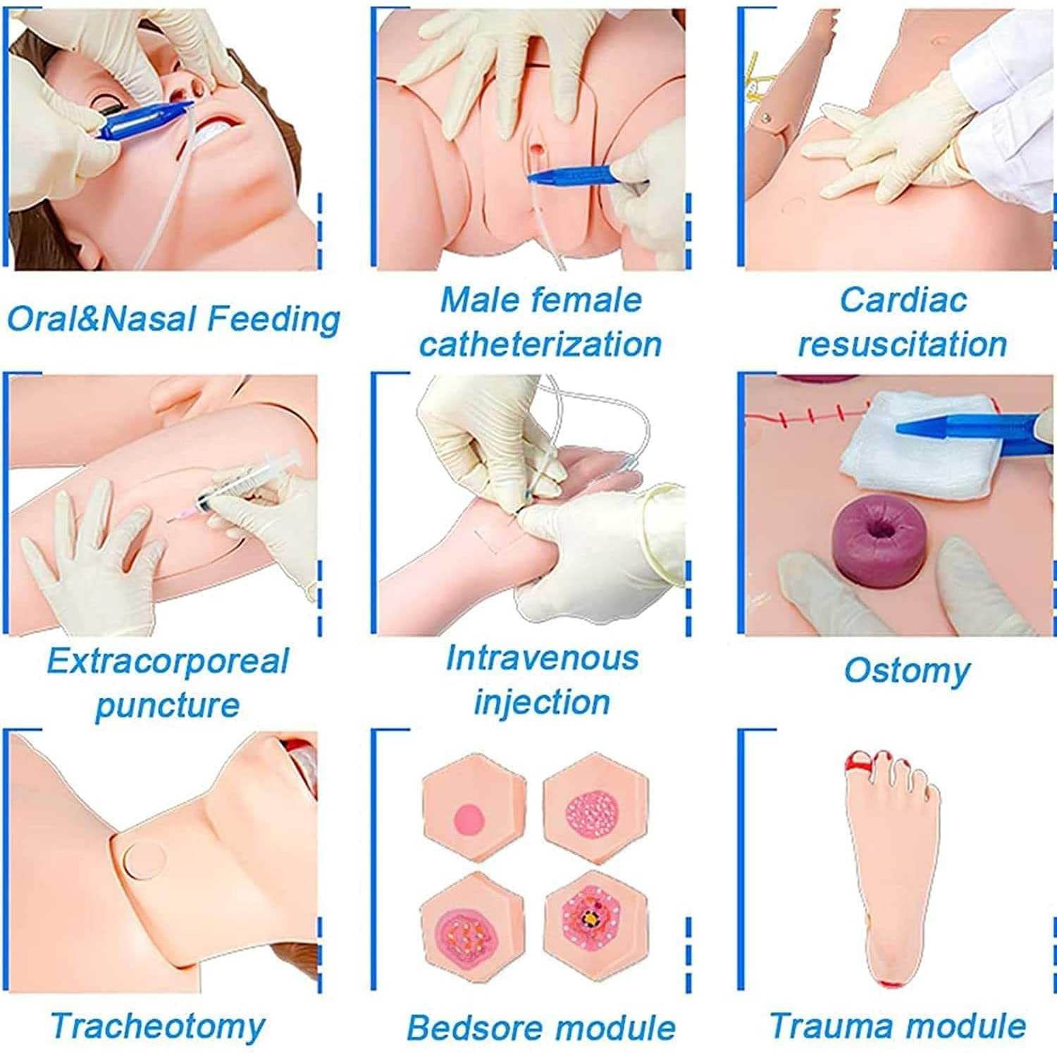 Advanced Full-Function N Training Simulator Male and Female Interchangeable Body Model with Trauma Care 4 Decubitus Modules + 8 Trauma Modules