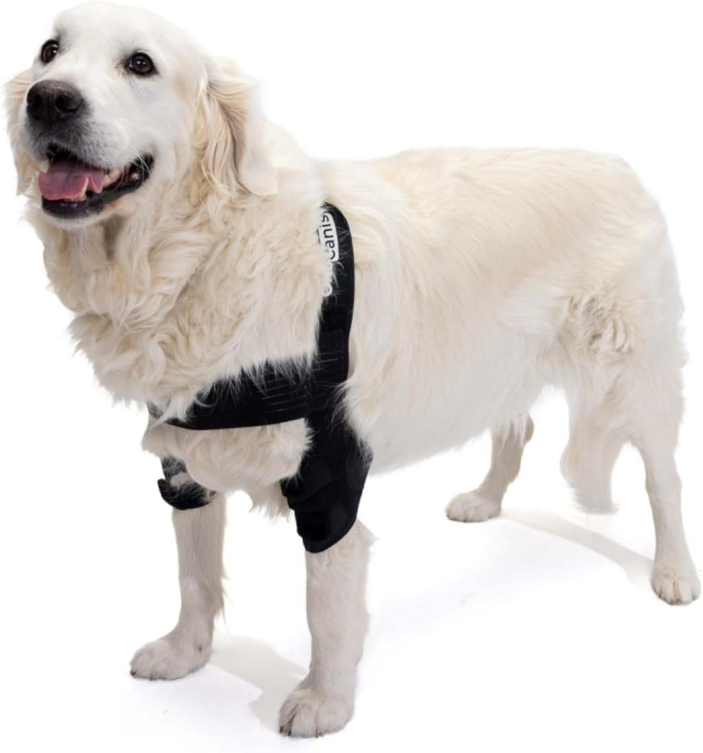 Ortocanis - Elbow Orthosis for Dogs with Elbow Arthritis. Hygromas or Shoulder Dislocation. Size XL