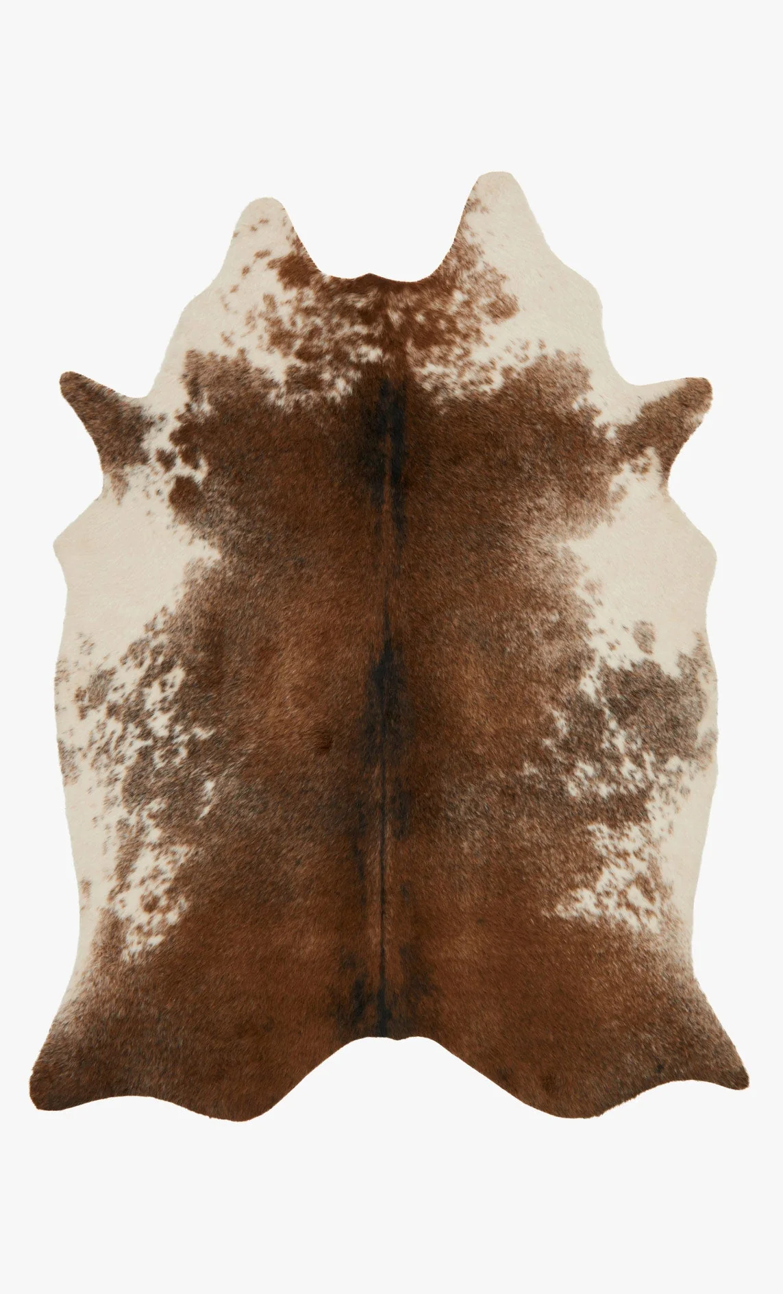 Loloi II Grand Canyon Collection - Transitional Power Loomed Rug in Coffee & Ivory (GC-14)