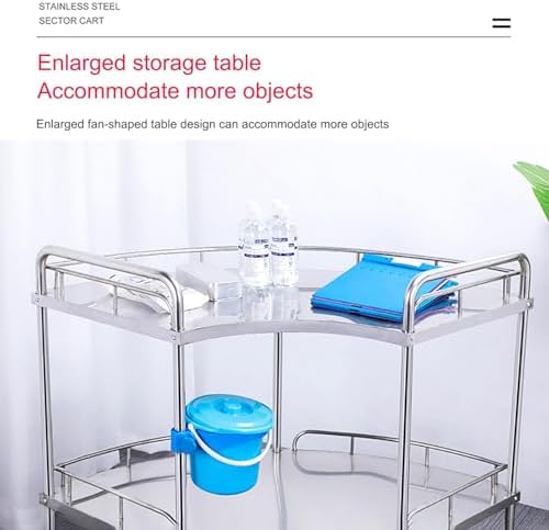 Mobile Medical Trolley Cart with Swivel Casters, 2-Tier Stainless Steel Utility Cart for Salon, Spa, Dental Clinic, and Hospital Use(150 * 46 * 86Cm)