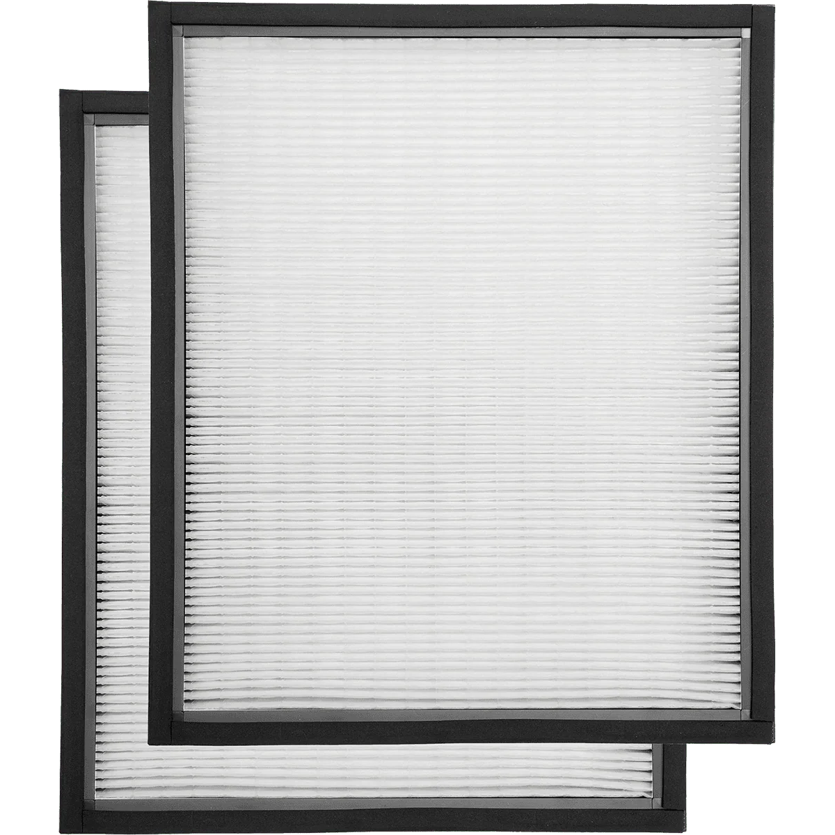 B-Air Raptor 650 AS-HF HEPA Filter (2 Pack)