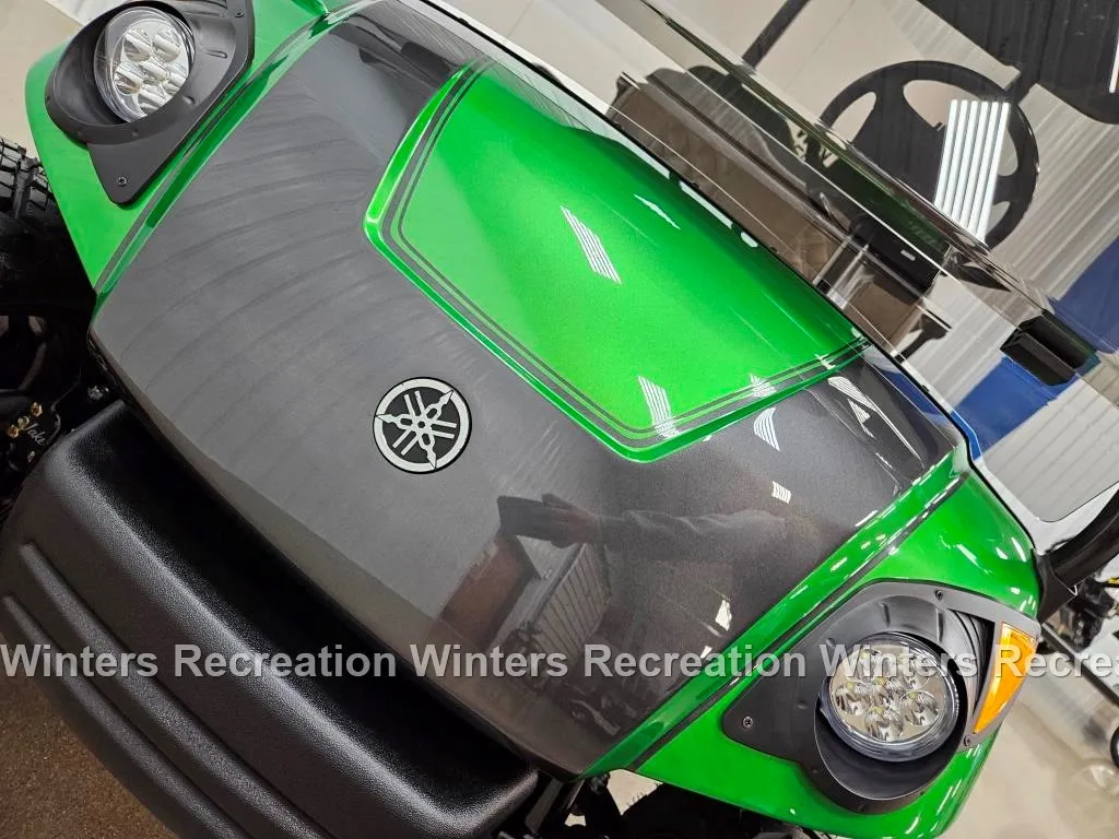 2016 Yamaha Drive Electric DELUXE STREET READY Golf Cart, Wicked Green & Magnetic Grey