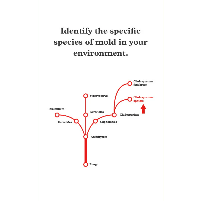 Mold Test Company DIY EPA-36 Mold Contaminants Test Kit