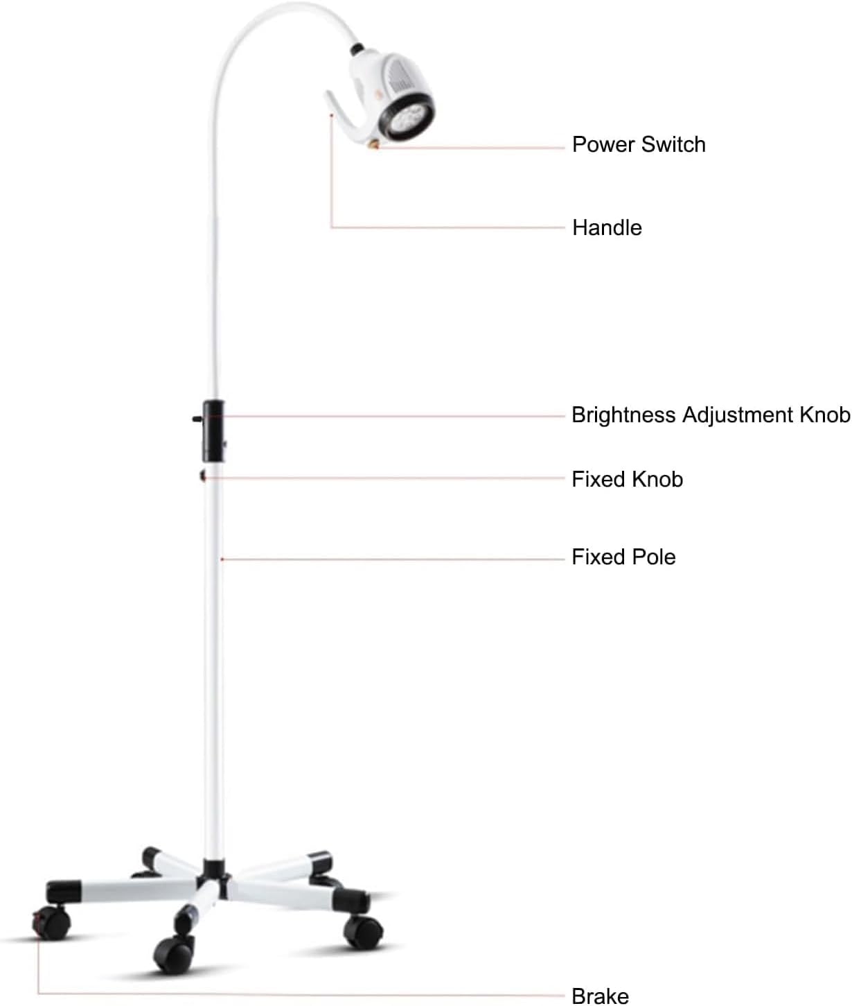 21W Mobile Medical Gynecological Examination Light, Flexible Gooseneck Exam Lamp, Shadowless Exam Light Medical,for Dental, Cosmetology and Pet Diagnostic Examination