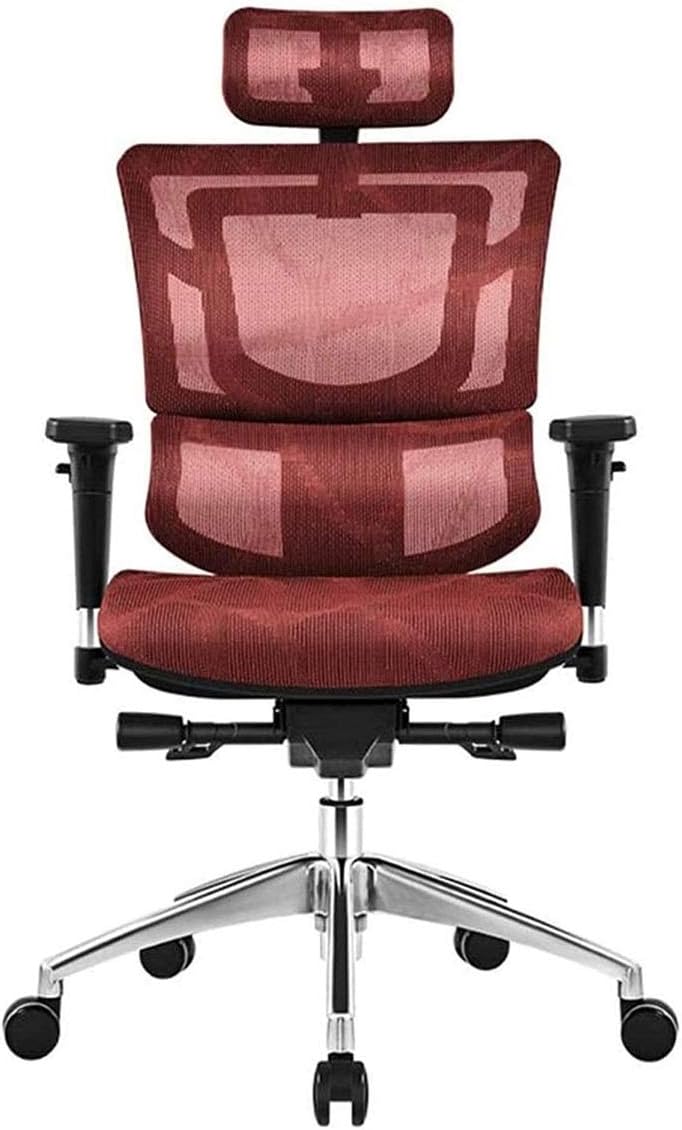Commercial Ergonomic High Back Executive Mesh Chair, with Adjustable Lumbar Support, Headrest and 3D Armrests Configure Chassis Functions (C One Size)
