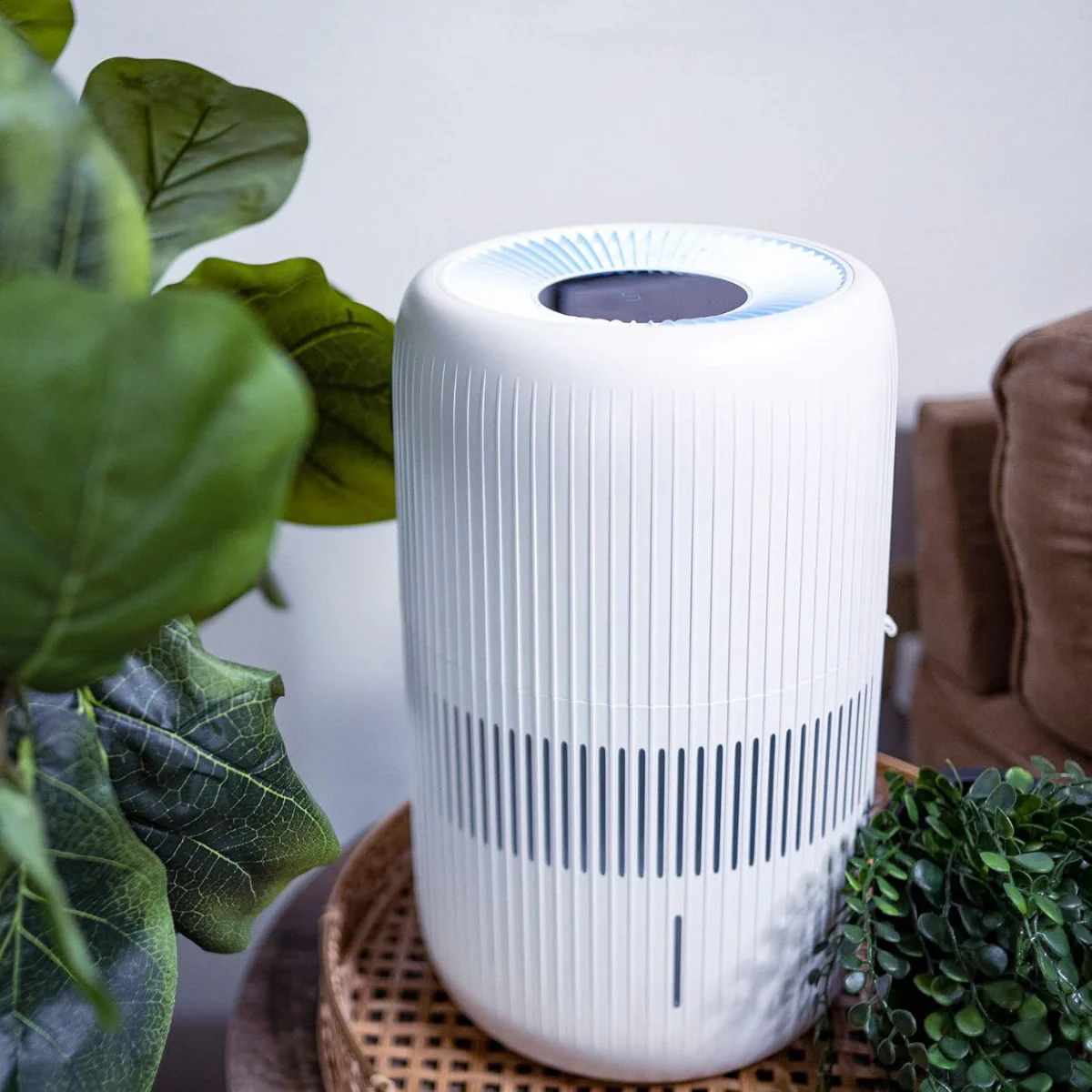 AIRCARE Lanai 1 Gal. Evaporative Humidifier