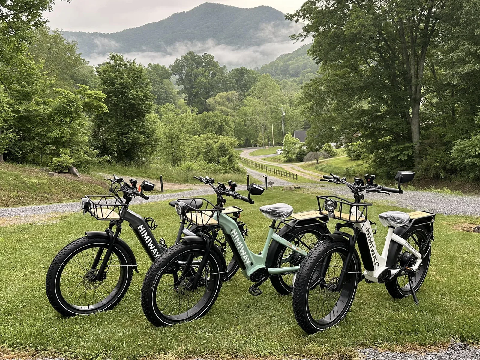 D5 ST(Zebra ST) / All-terrain Electric Fat Bike