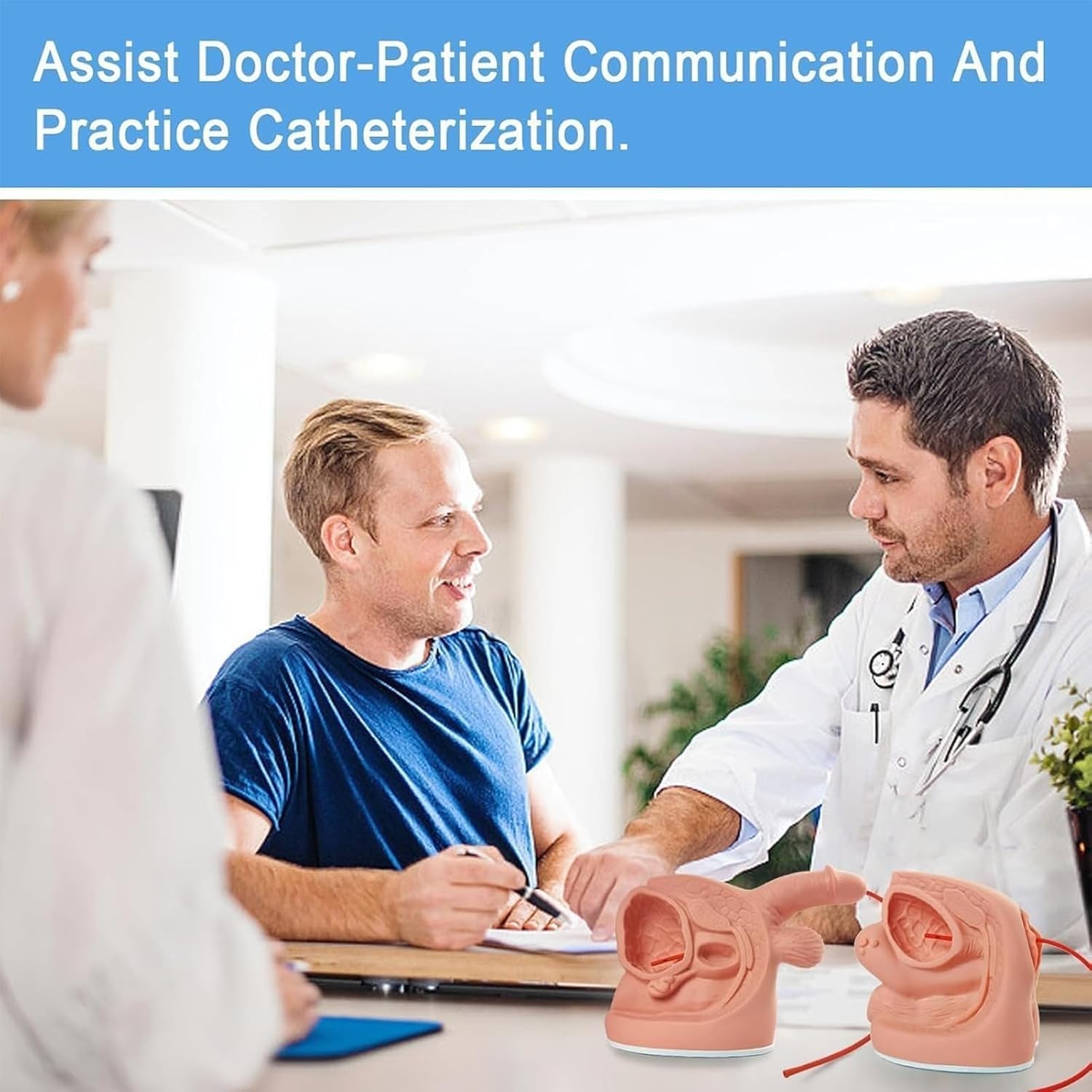 Human Body Model 2Pcs Male and Female Catheter Anatomy Model, Simple Internal and External Genital Anatomy Model and Urinary Catheter Mold for Clinical Teaching and Practical Training(2Pcs)