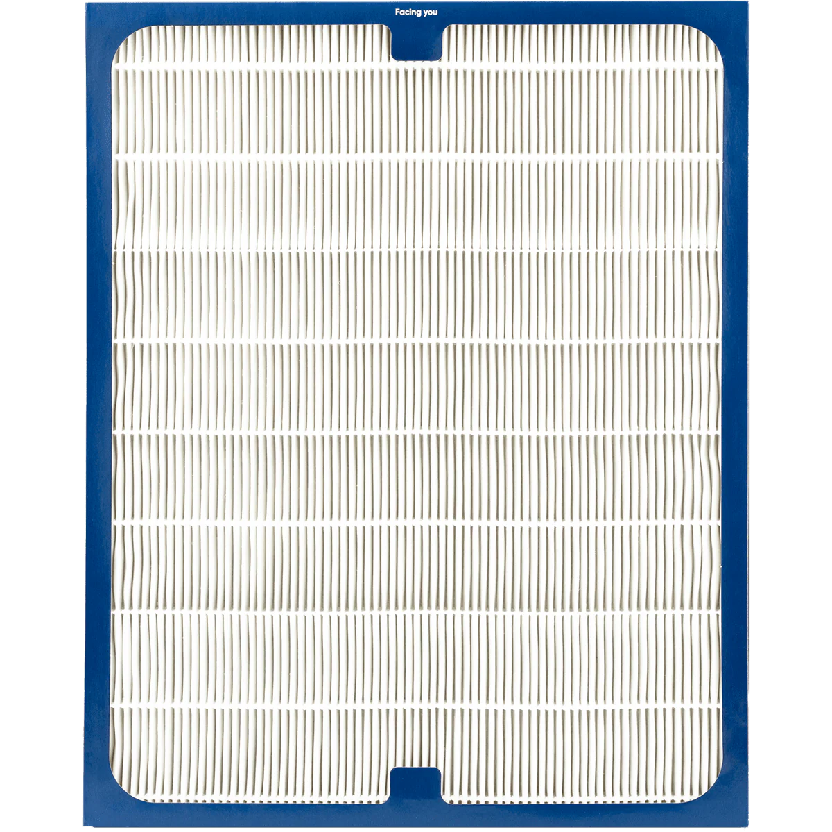 Blueair 200 / 300 Series Dual Protection Filter 201DPF