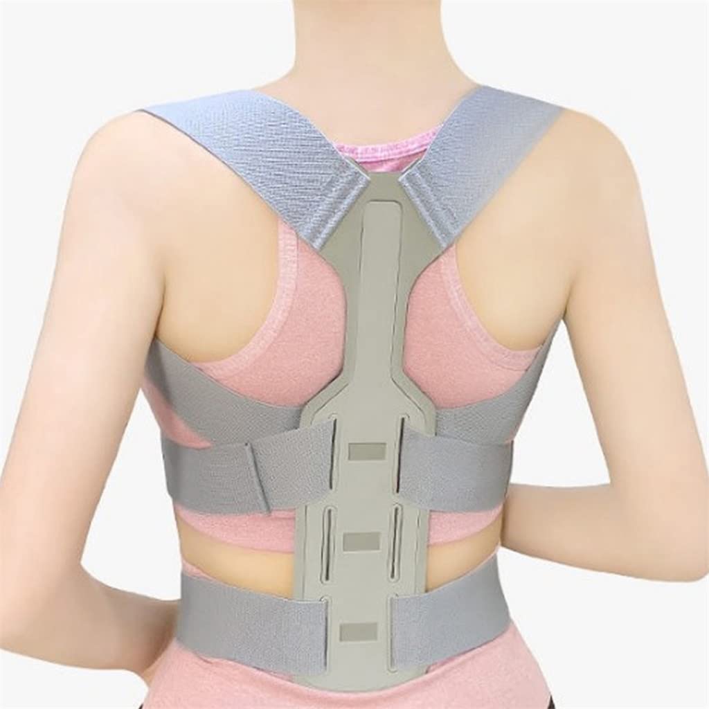Shoulder Clavicle Chest Back Brace Straightener Posture Corrector Scoliosis Support Lumbar Waist Pull Belt(L code)
