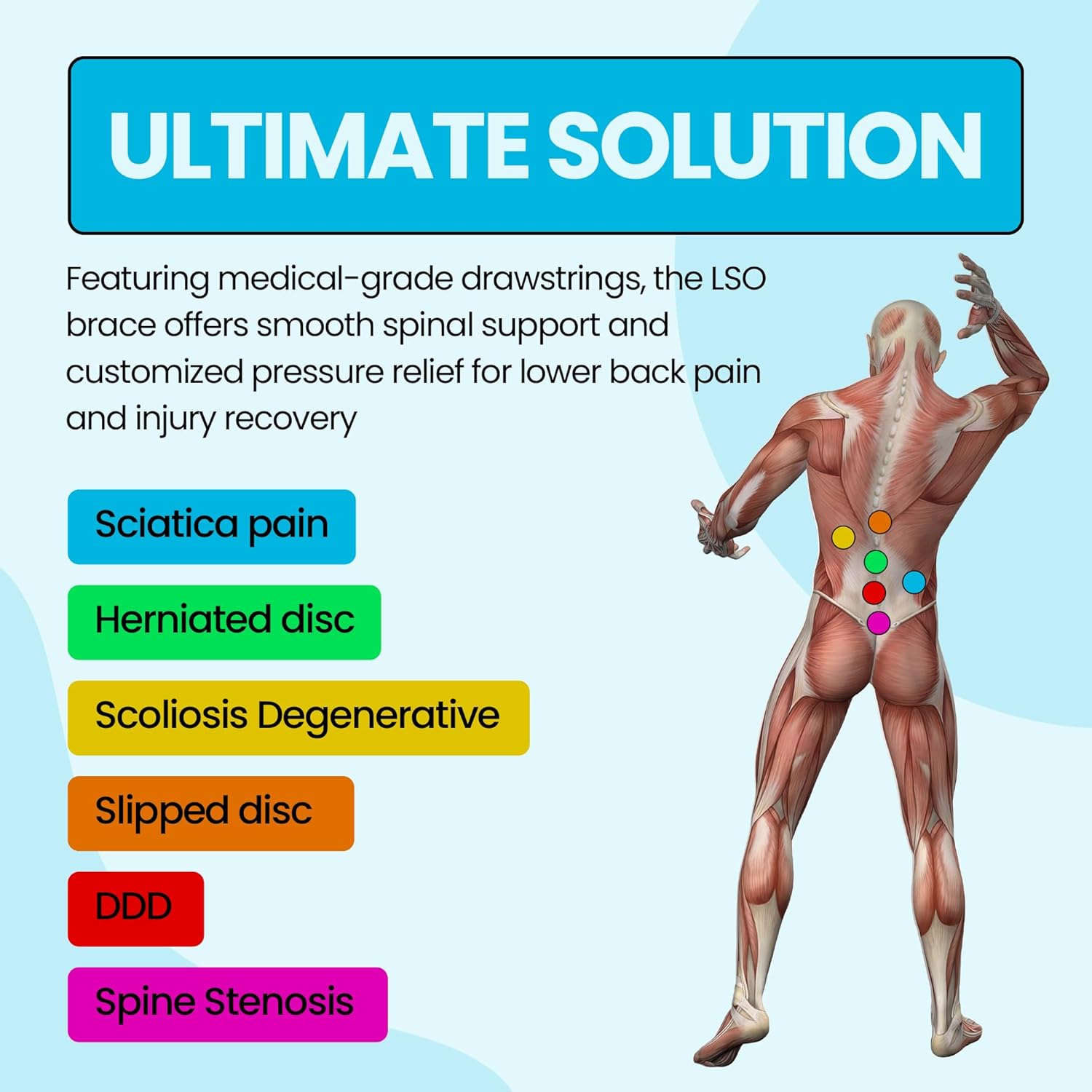 Comfyorthopedic LSO Back Brace for Lower Back Pain for Women & Men for Herniated Disc, Scoliosis, Post Surgery, Spine Fractures, Sciatica Relief Medical Grade Rigid Lumbar Support L0648/L0631