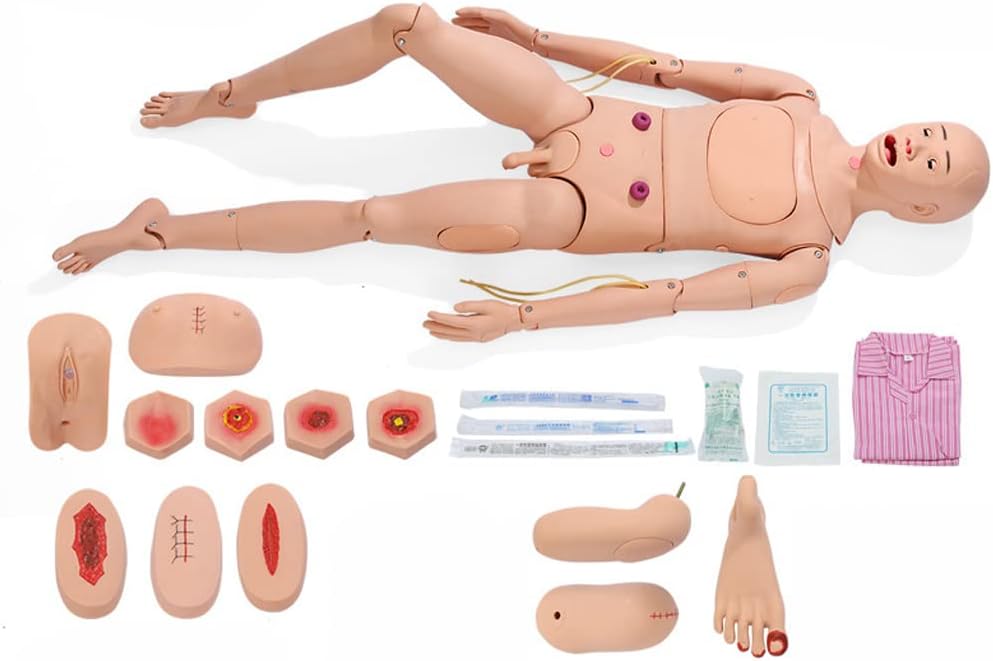 Advanced Full-Function N Training Simulator Male and Female Interchangeable Body Model with Trauma Care 4 Decubitus Modules + 8 Trauma Modules