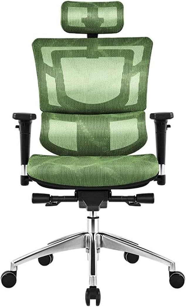 Commercial Ergonomic High Back Executive Mesh Chair, with Adjustable Lumbar Support, Headrest and 3D Armrests Configure Chassis Functions (D One Size)