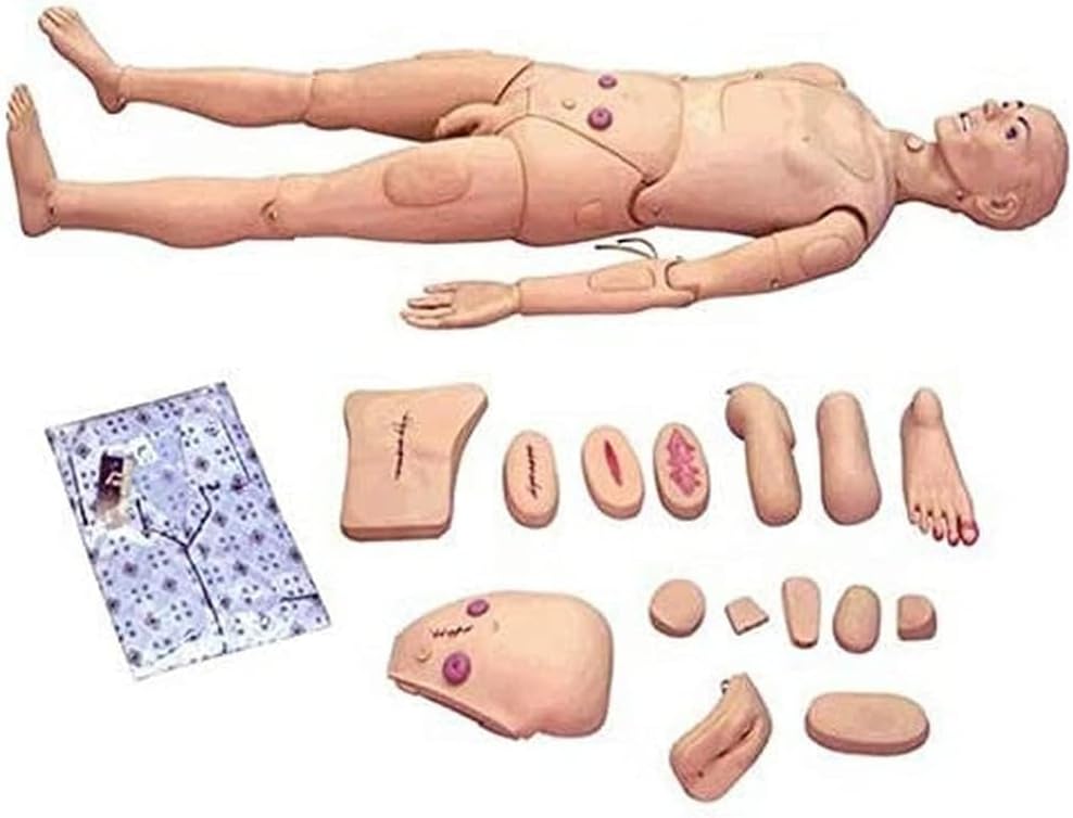Patient Care Manikin, Training Manikin Teaching Model N Medical Science School Patient Care Full Body for Students Education Teaching Medical Training ls
