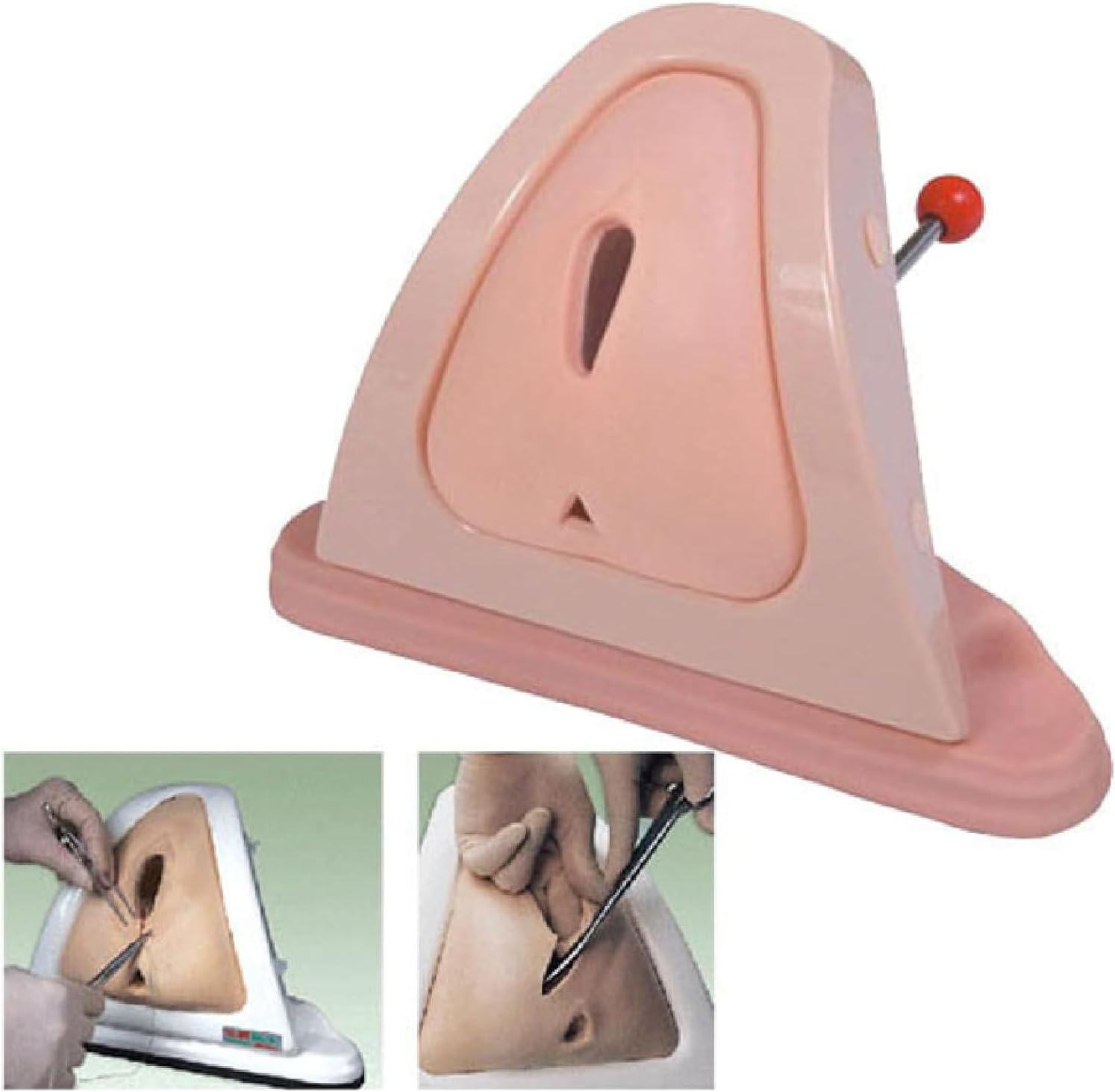 Perineum Cut Suture Practice Model, Female Reproductive System Anatomy Model, Lifelike Perineum Repair Simulator, for Cutting and Suturing Training, Medical Colleges Use