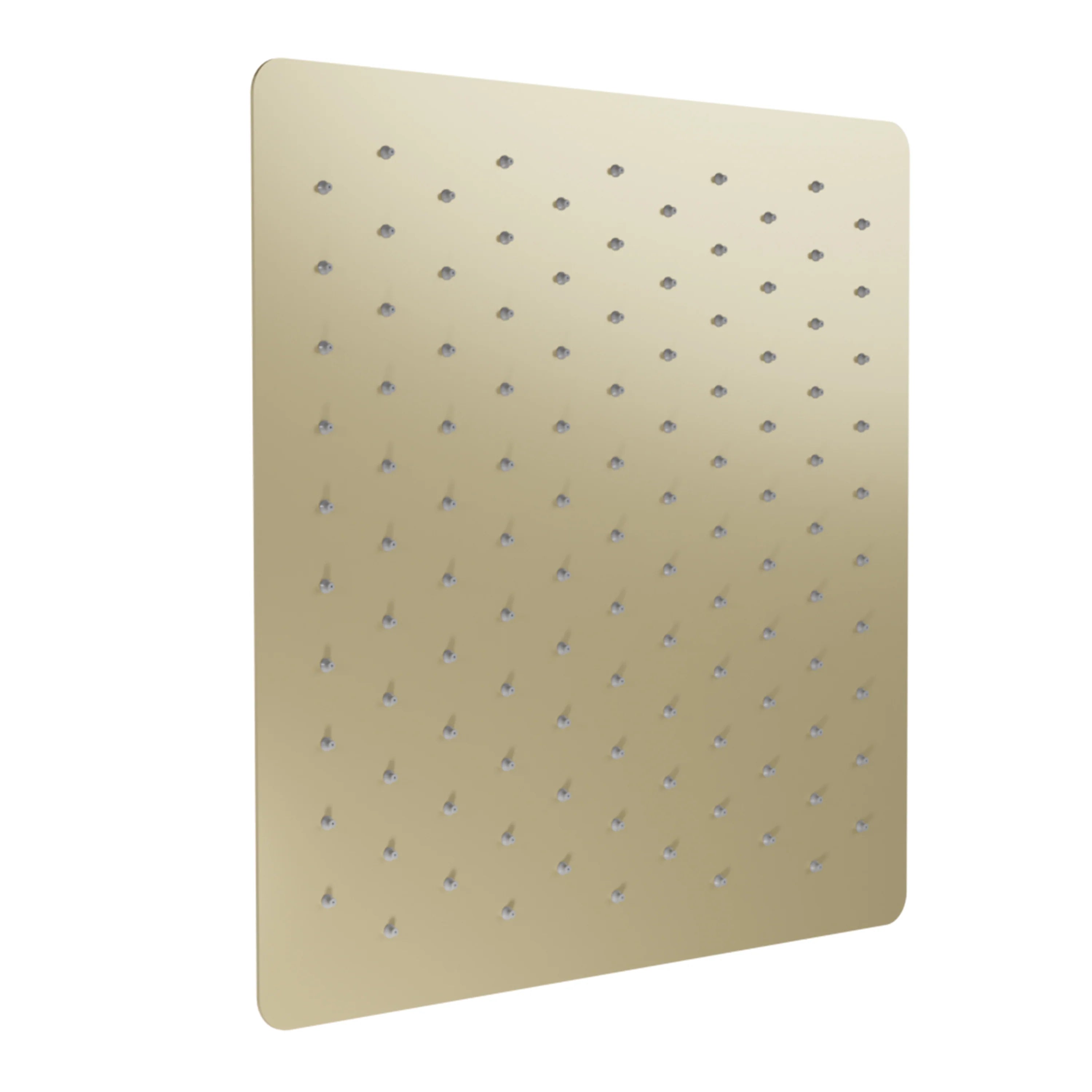 ZLINE 16-Inch Bliss Shower Head in Champagne Bronze (BLS-H16-CB)