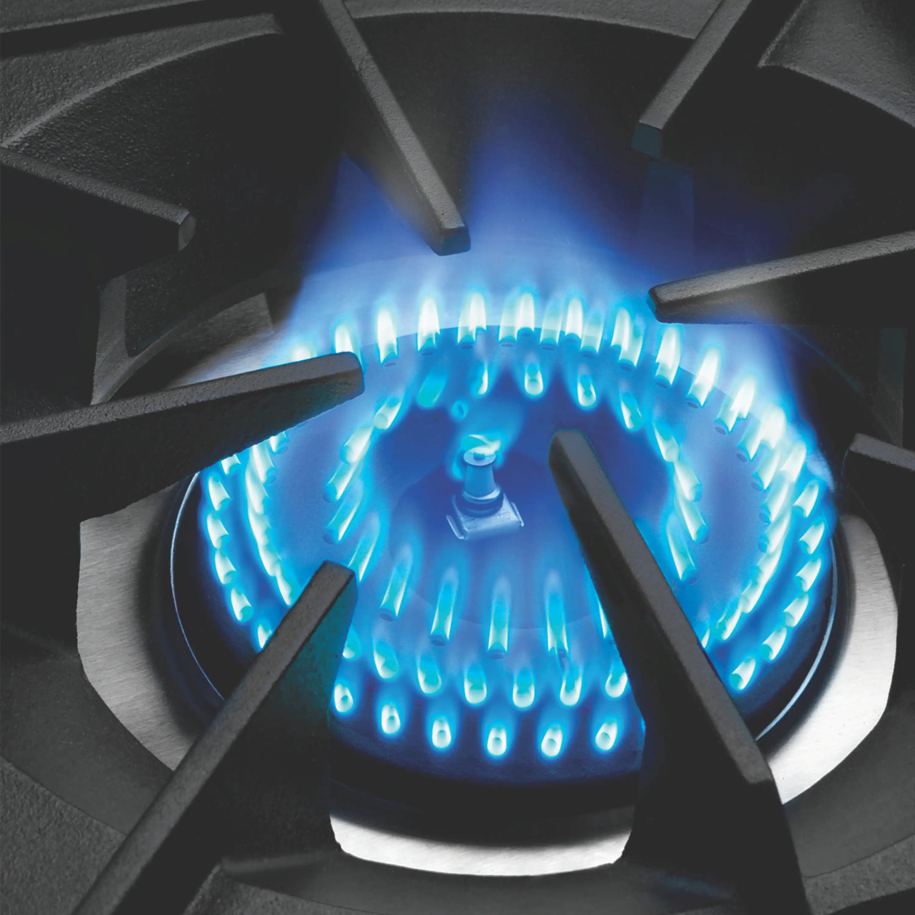 Capital 48-Inch Grand Chef Gas Range in Stainless Steel with 6 Open Burners & Griddle (CGSR484G2)