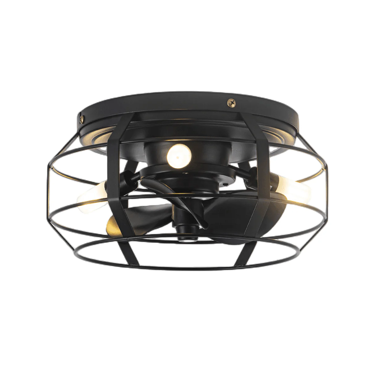 Parrot Uncle 12-Inch Flush Mount Low Profile Caged Small Ceiling Fan with Light and Remote Control