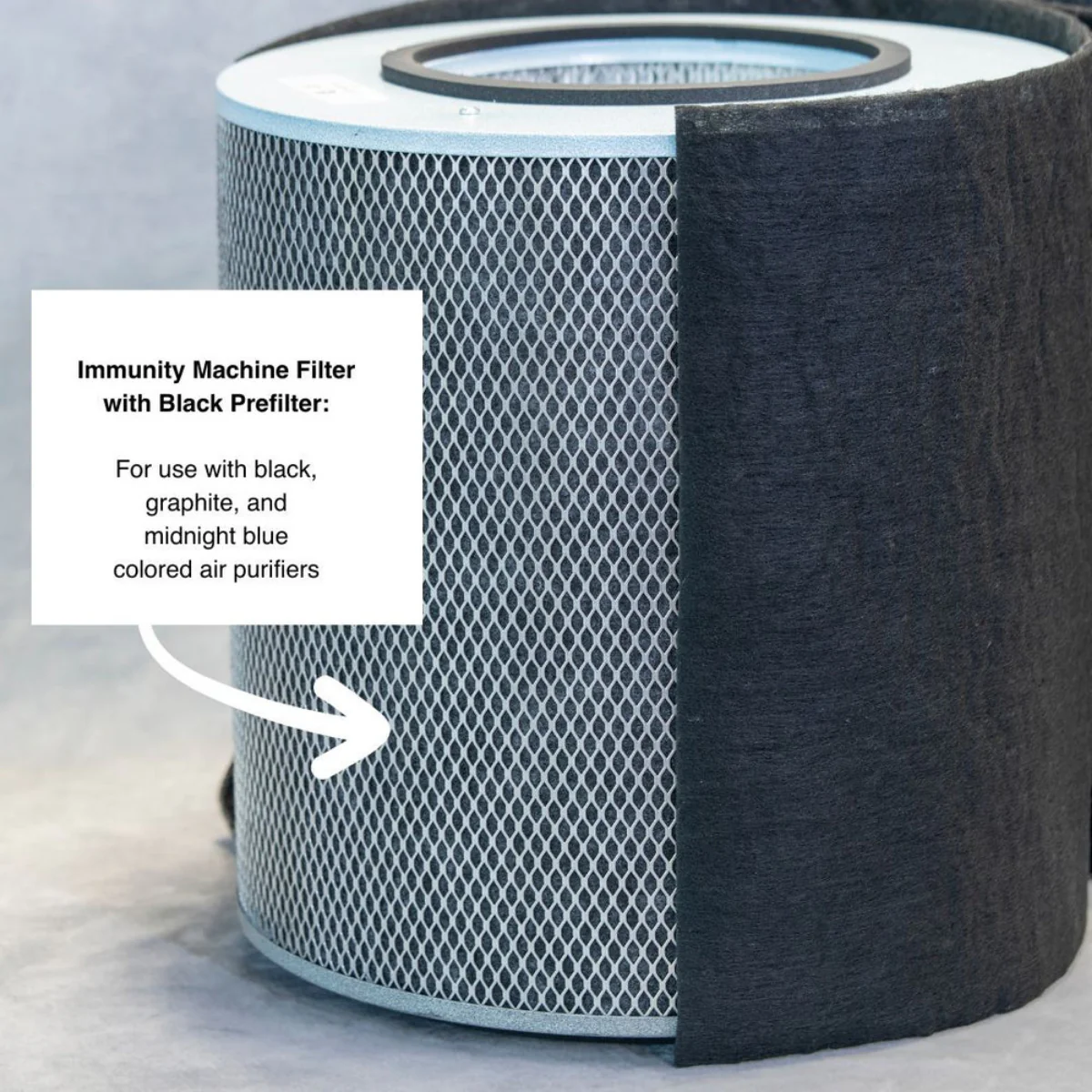 Austin Air Immunity Machine Replacement Filter