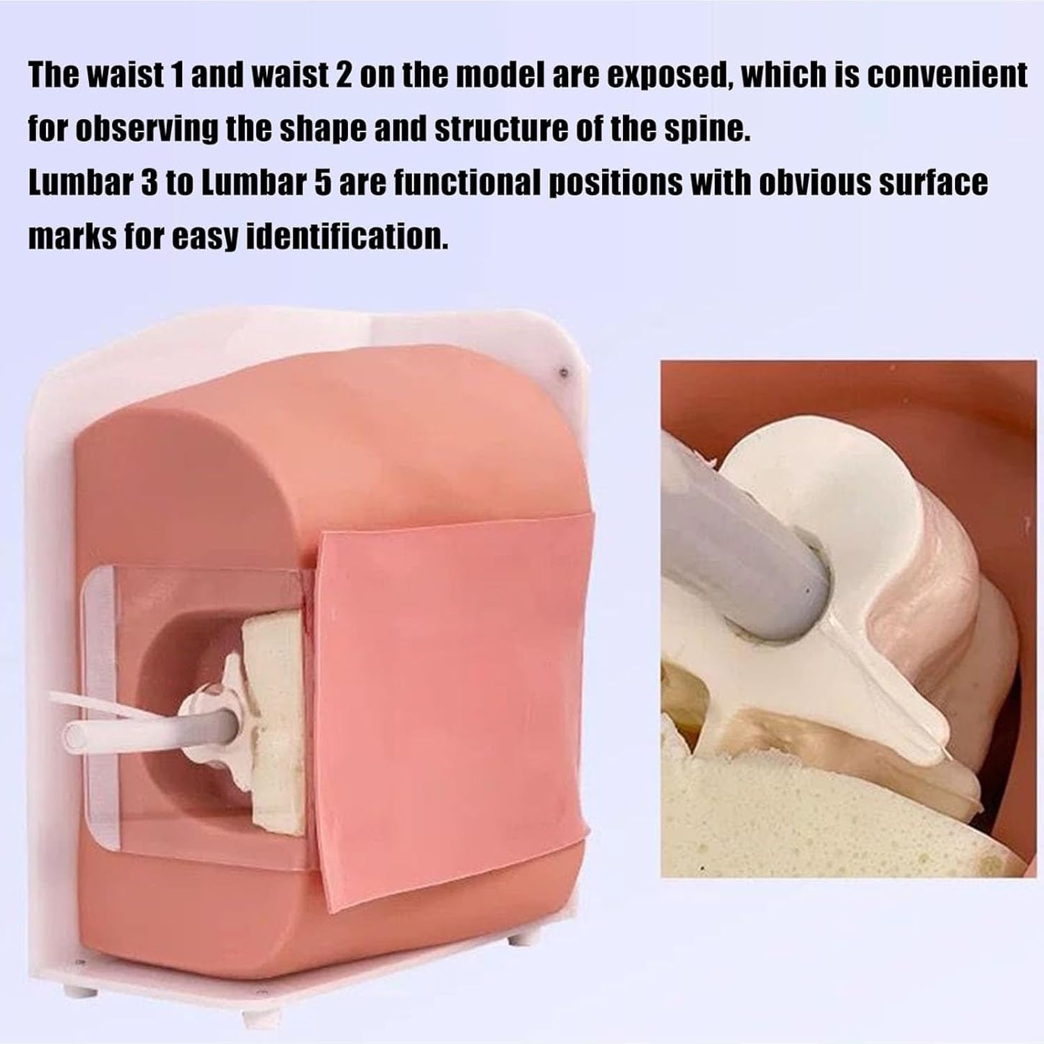 Spinal Puncture Model, Extradural/Sacral Puncture Model, Lumbar Puncture Human Nursing Model for Spinal and Epidural Anesthesia Clinical Training