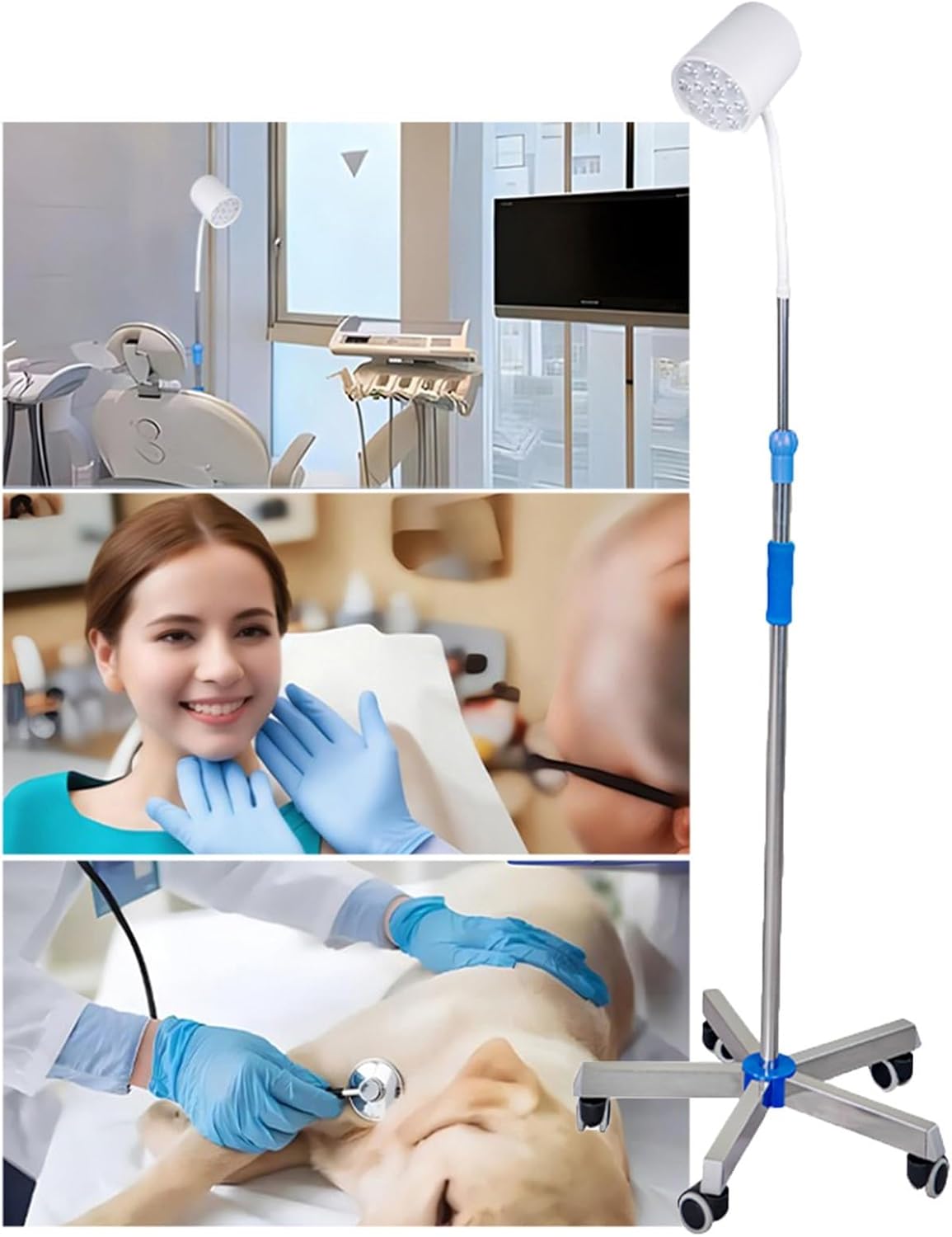 12W Mobile LED Examination Light Floor-Standing Surgical Lighting Light Adjustable Brightness and Height Suitable for Gynecological and Surgical Use